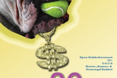 poster 2006 hond
