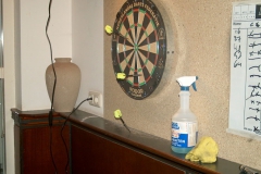 Darts-028